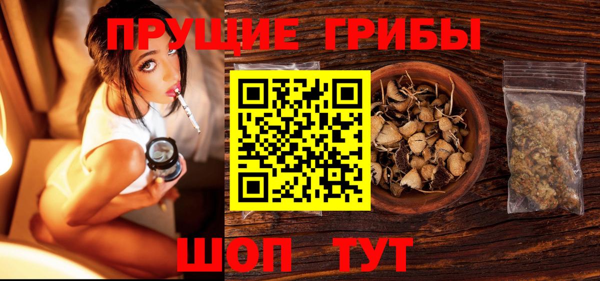 Галлюциногенные грибы мухоморы  Псилоцибиновые грибы Psilocybe  Осинники  Вход с VPN 